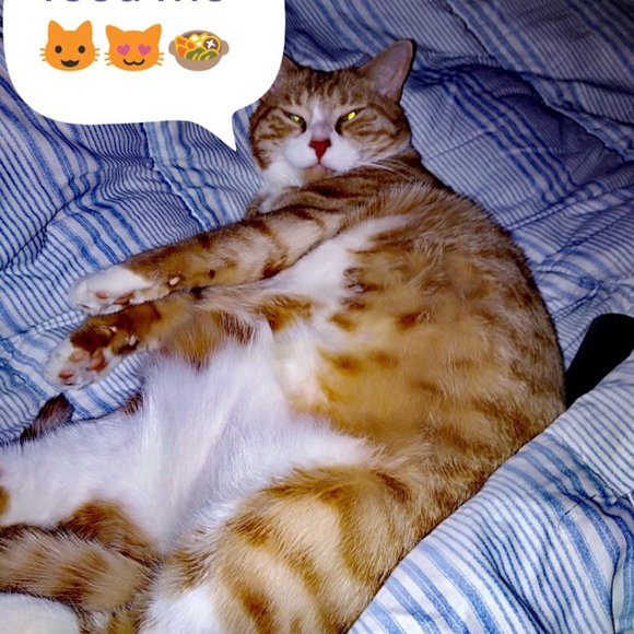 Meet your Posher, Donna - Picture 2 of 16